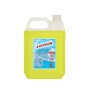 Cloro Lm X 5L