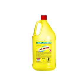 Lavandina Comun X 2Lt