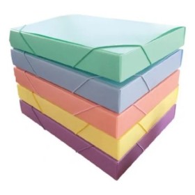Caja Archivo Lama 4Cm Pvc Pastel A4