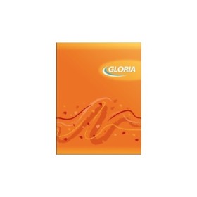 Cuaderno Gloria Tapa Flexible X48H Rayado