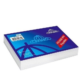 Ficha Congreso N3 X100U Rayado